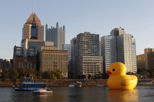 A giant inflatable rubber duck, created by Dutch artist Florentijn Hofman, is towed up the Allegheny River in Pittsburgh